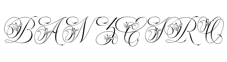 Narony Regular  Free Fonts Download