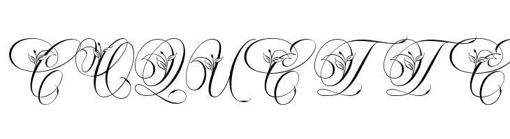 Narony Regular  Free Fonts Download