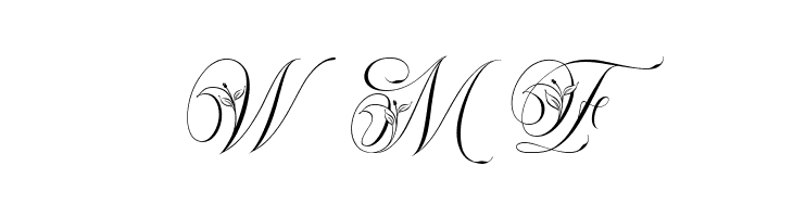 Narony Regular  Free Fonts Download