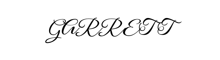 SophiaScript  Free Fonts Download