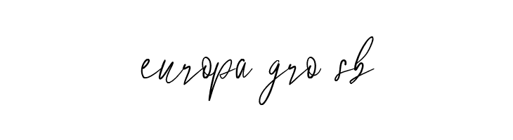 Hotel Script Regular  Free Fonts Download