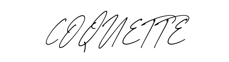 Mirelle Script Script  Free Fonts Download