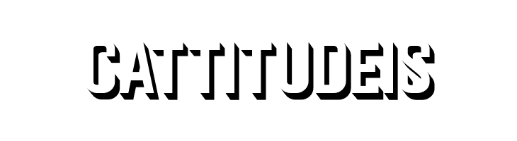 Senzow  Free Fonts Download