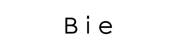 ElroNet Monospace  Free Fonts Download