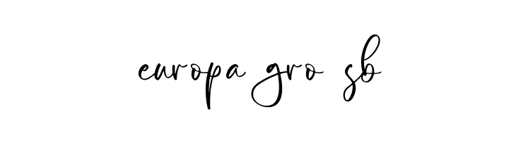 Bloockwet  Free Fonts Download