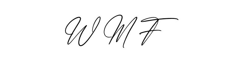 Faithfull Signature  Free Fonts Download