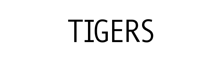 MonoSpatial  Free Fonts Download