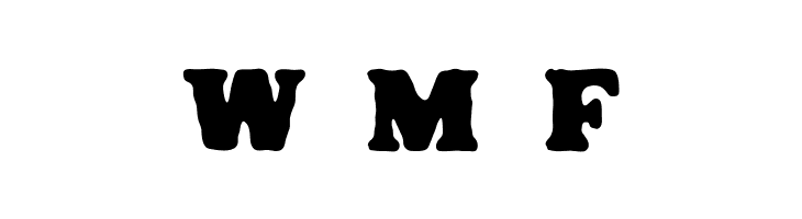 SummerSurfingSerif-Rough  Free Fonts Download