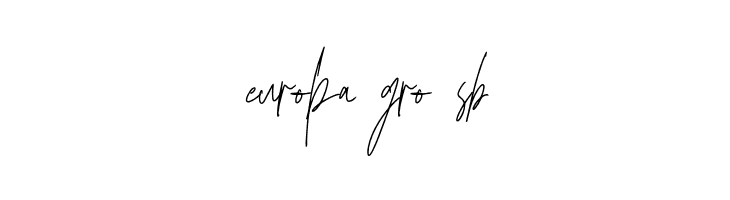 SindupenSignature-Regular  Free Fonts Download