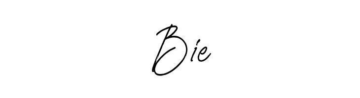 Sheylamte  Free Fonts Download
