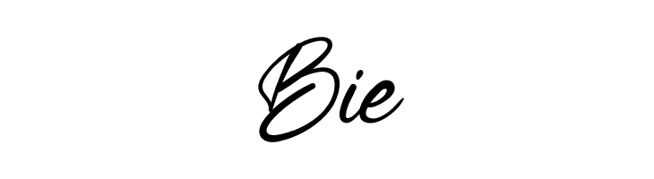 BrightCheerfulRegular  Free Fonts Download