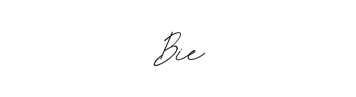 AndinoRasmitha  Free Fonts Download