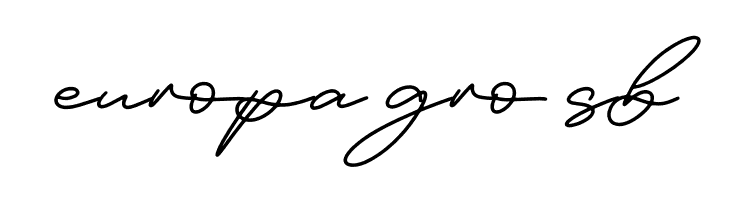 Felisia  Free Fonts Download