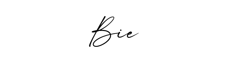 Castely  Free Fonts Download
