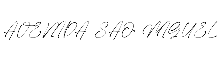 Slashdaily  Free Fonts Download