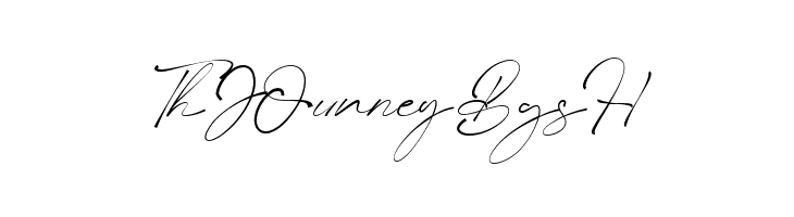 Slashdaily  Free Fonts Download