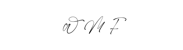 Slashdaily  Free Fonts Download