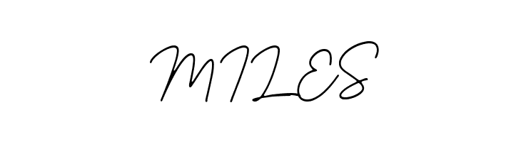 Hustine  Free Fonts Download