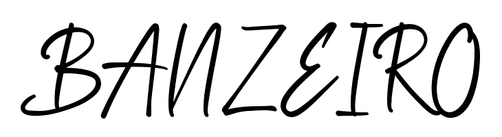 Brooklyn Park Demo  Free Fonts Download