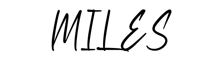 Brooklyn Park Demo  Free Fonts Download