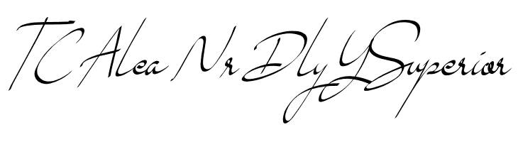 Brouklyn Signature Demo Use  Free Fonts Download