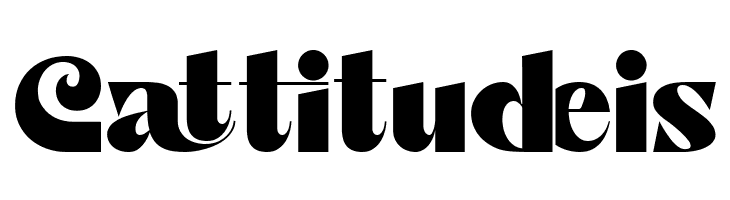 Manifest Creativity Demo Bold  Free Fonts Download