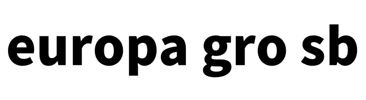 Noto Sans KR Black  Free Fonts Download