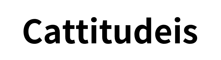 Noto Sans KR Bold  Free Fonts Download