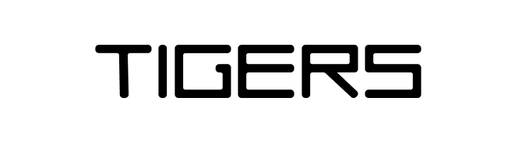 ACES04_Heavy  Free Fonts Download