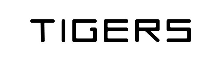 ACES04_PA_Heavy  Free Fonts Download