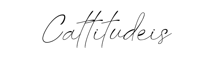 Last Signature  Free Fonts Download