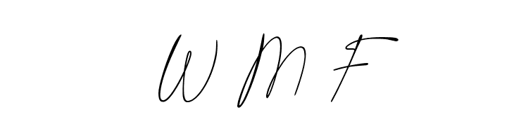 Last Signature  Free Fonts Download