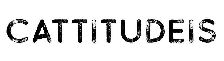 BuckwheatTCSans-Rough  Free Fonts Download