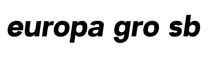 ZF2334 Typeface 6 Bold Italic  Free Fonts Download