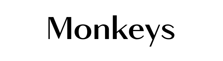 Browie  Free Fonts Download