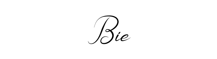 Platform Italic  Free Fonts Download