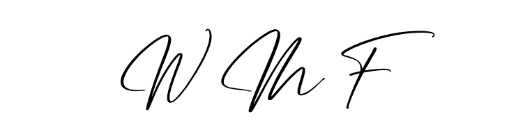 Amsthyline  Free Fonts Download