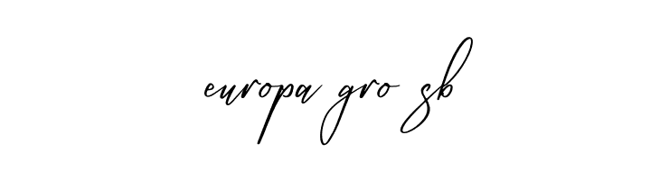 Amsthyline  Free Fonts Download
