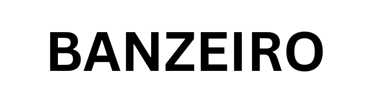 Canva Sans Bold  Free Fonts Download