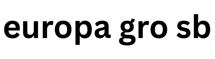 Canva Sans Bold  Free Fonts Download