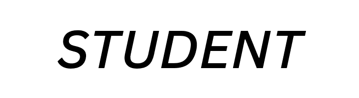 Canva Sans Medium Italic  Free Fonts Download