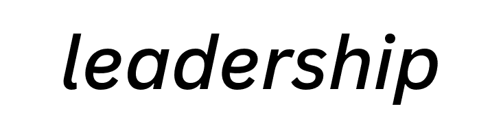 Canva Sans Medium Italic  Free Fonts Download