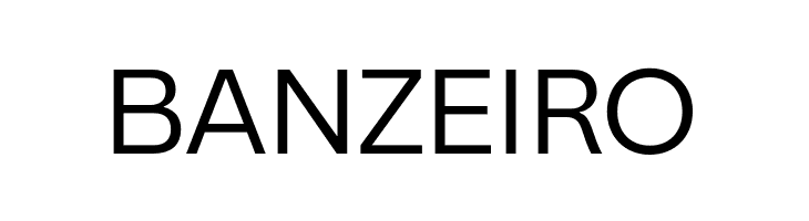 Canva Sans Display Regular  Free Fonts Download