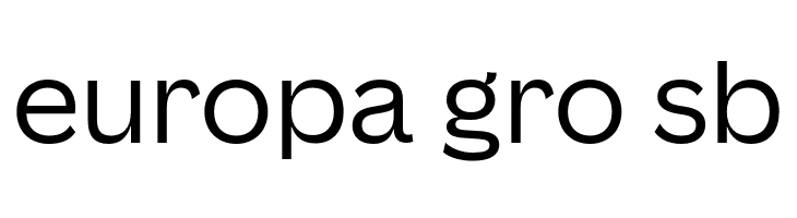 Canva Sans Display Regular  Free Fonts Download