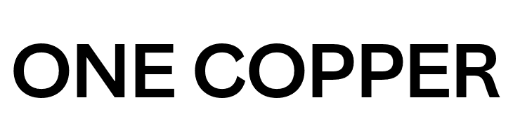 Canva Sans Display Bold  Free Fonts Download