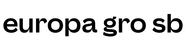 Canva Sans Display Bold  Free Fonts Download