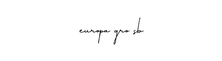 Amillia Signature Regular  Free Fonts Download