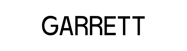 Baji Standard Regular  Free Fonts Download