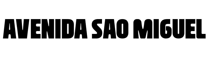 Nasional Sans Black  Free Fonts Download