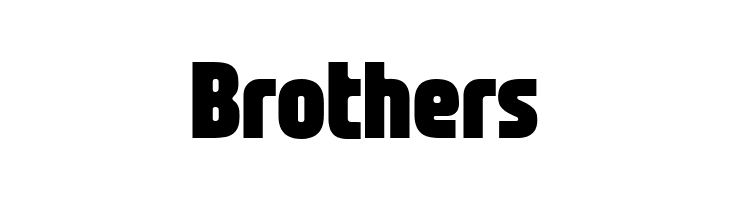 Nasional Sans Black  Free Fonts Download